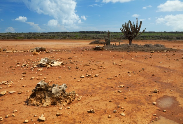 Preacher To Preachers Preaching In This Barren Land Sermons Articles